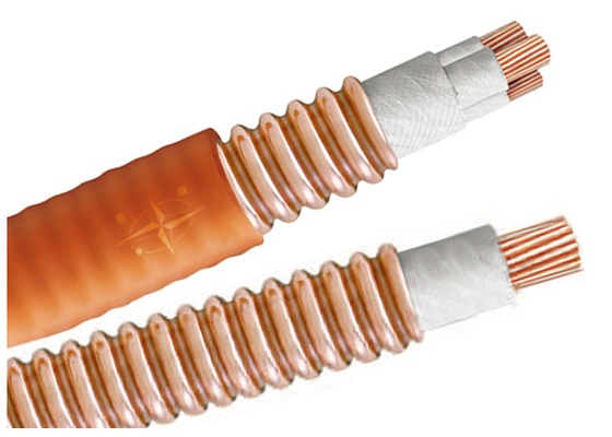 CHINA Kabel BTTW 500V BS der helle Lasts-mehradrige hohen Temperatur Iec-Bescheinigung fournisseur