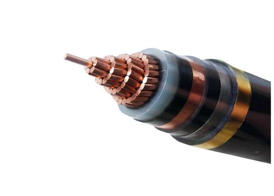 CHINA Einphasig-Hochspannungs-Kupfer-gepanzertes elektrisches Kabel-Edelstahl-Band fournisseur