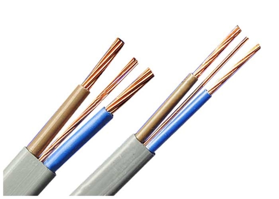 CHINA Flach elektrisches Kabel-Draht graues 2* 2,5 des Zwillings-BS6004-2000 u. der Erde + 1.5SQMM fournisseur