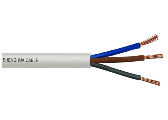 CHINA 450V 1mm2 PVC isolierte nicht umhüllte Kabel für Starkstromgeräte fournisseur