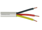 Muticore-Steuerfeuerbeständiges Kabel 450V 750V fertigte Iec-Iso-Norm besonders an fournisseur