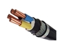 Leiter-gepanzertes elektrisches Kabel des Kupfer-1000V oder des Aluminiums bis zu fünf Kernen fournisseur