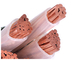 5 genehmigte Iec-Standard-ISO KEMA Stromkabel Kerne CU-PVCs XLPE 600/1000V fournisseur