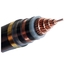 Einphasig-Hochspannungs-Kupfer-gepanzertes elektrisches Kabel-Edelstahl-Band fournisseur