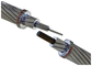 AS3607 ACSR/GZ entblößen Leiter bestandenen galvanisierten Stahldraht 6/1/3.0mm APPLE fournisseur