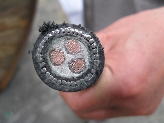 CHINA Ungeschütztes/geschütztes XLPE-isoliertes Kabel für elektrische Stromversorgung mit Einzel- oder Mehrkern 9 fournisseur