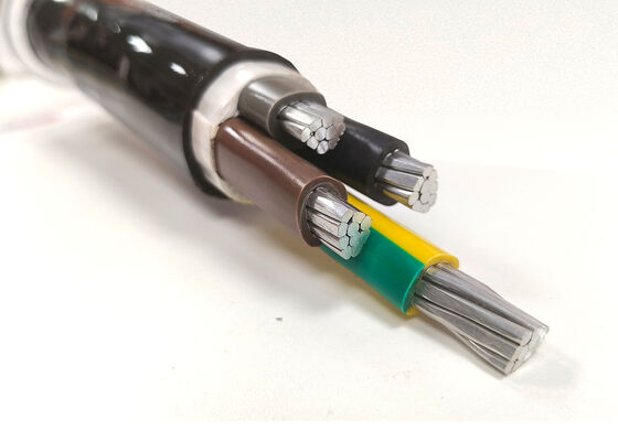CHINA NYY-O 1x300mm2 Sauerstofffreie Kupfer-PVC-isolierte Einzelkern-Stromkabel für die Verteilung 0,6/1kV Anbieter