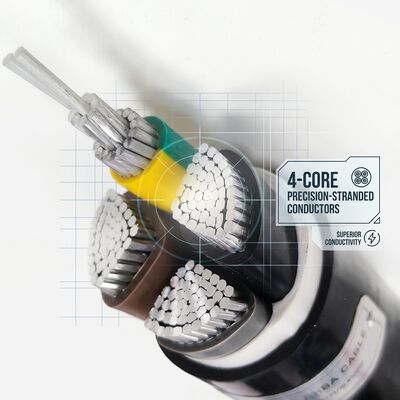 Wasserdicht feuchtigkeitsbeständig PVC-isolierte Leitung 0,6/1kV 2-adrig 2x4mm2 Außenbereich Nasse Bereiche Anbieter