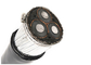 PVC-Hüllen-gepanzertes Stromkabel im Freien/Kupfer-Band-gepanzertes Kabel fournisseur