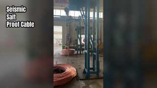 Shenghua 26 35-kV-Kabel, seismisch salzimmun